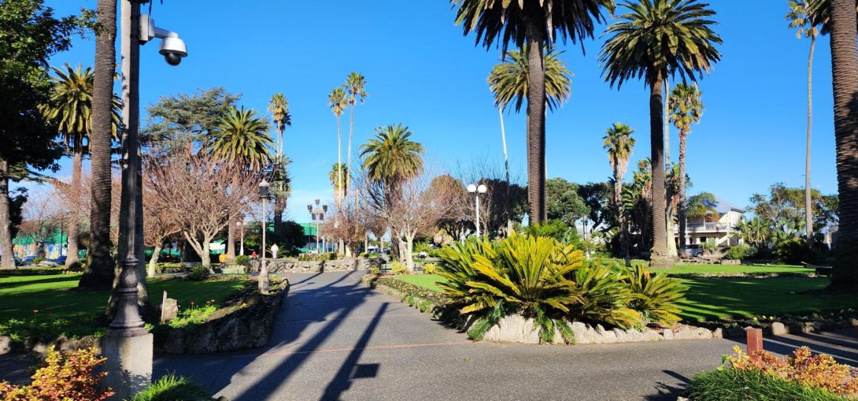 Mnm'S Bnb Napier Exterior photo